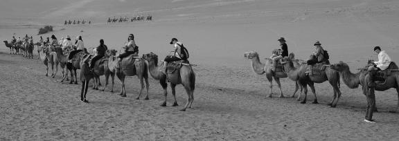 Desert Journey 87