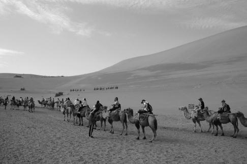 Desert Journey 88
