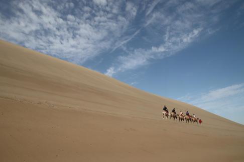 Desert Journey 89