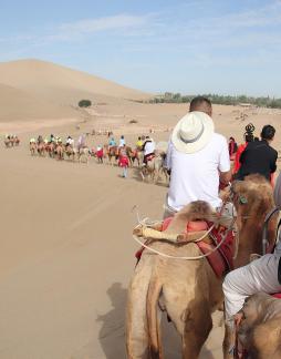 Desert Journey 91