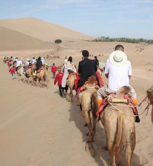 Desert Journey 92