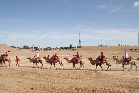 Desert Journey 94