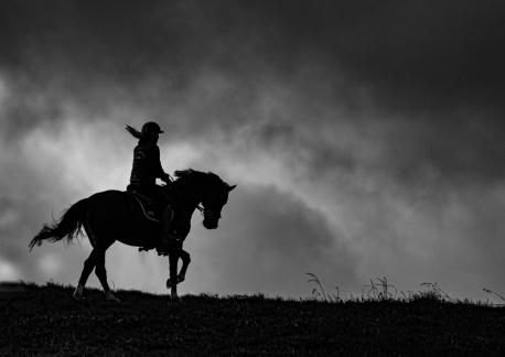 Dark Rider