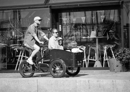 Family Ride