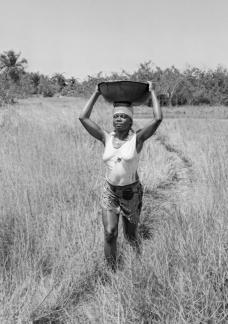 Sand Collector