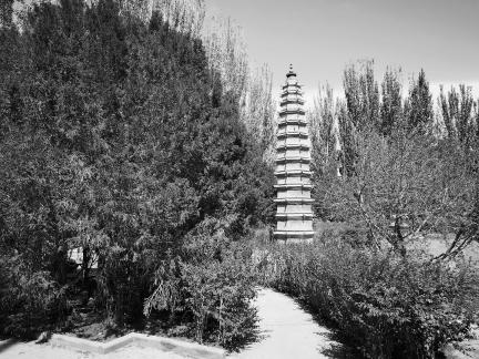 Western Xia Buddhist Kingdom 16