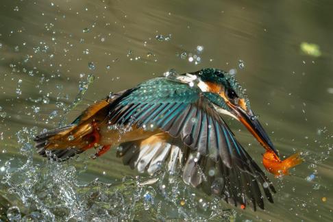 Good catch